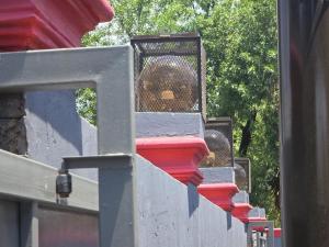 Botshe Lodge in Vanderbiljpark