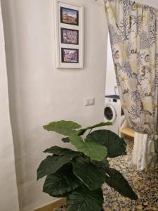 Pietra su Pietra Casa Vacanze