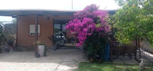 Gaboto, solo se reserva con sena , entrar en contacto