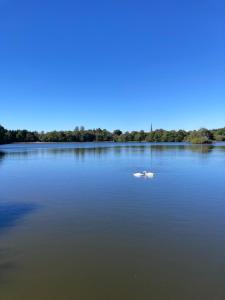 Duncans Cottage at Royal Hillsborough
