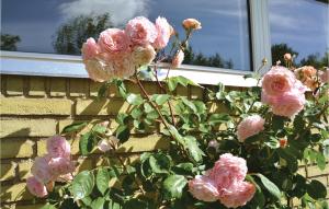 Three-Bedroom Holiday Home In Kirke Hyllinge