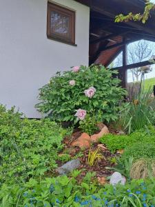 Hiška Janko in Metka