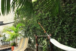 Timeless Oasis Hostel