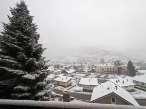 Chalets Chalet Terrasse Plein Sud, Cheminee, Ski-Rando, Nature & Village, Animaux admis, Parking : photos des chambres