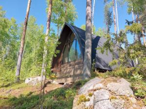 Lumous Forest Hut, Luontovire