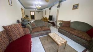 شقه تطل علي النيل بتصميم كلاسيكي فاخر