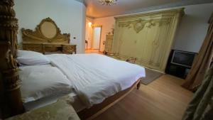 شقه تطل علي النيل بتصميم كلاسيكي فاخر