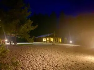 Vanago Lizdas - Jaskonys