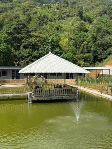 Ecohotel Sky Green Pereira