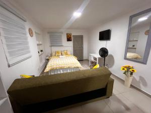 Stunning bachelor apartment in Hazel Park