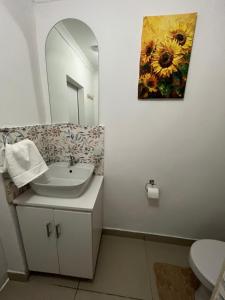 Stunning bachelor apartment in Hazel Park