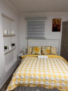 Stunning bachelor apartment in Hazel Park