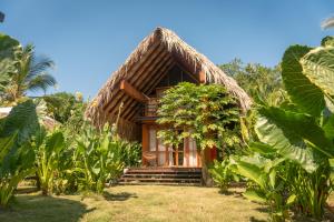 Cabañas con Jacuzzi, Tayrona vía Palomino - Villa Puy