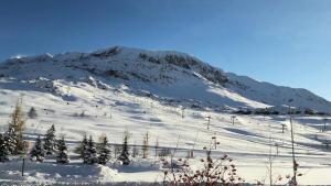 Résidence Azur - APPARTEMENT 2 PIECES ALPE DHUEZ AVENUE DU RIF NEL MAE-2071