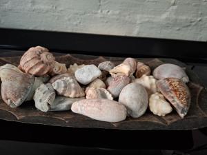 Salty Sands Beach Flat