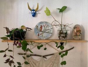 Casa Verde, Paz e Aconchego, a 1 km da rua do lazer, espaçosa, calma para descansar e jacuzzi quentinha para relaxar!