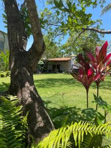 PRIVATE OASIS! New Casita with Parking, Garden and Outdoor Kitchen!