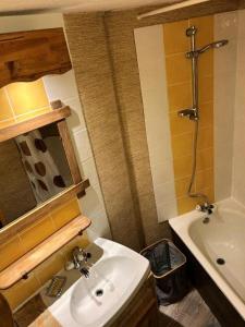 Appartements Residence Grand Sud - Studio de 20 m² avec mezzanine-ALPE D-HUEZ ECLOSE EST MAE-3481 : photos des chambres