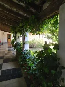 Hotel del Alto - Las Calles