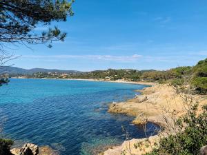 Villas Le Bayol : photos des chambres