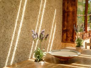 Maisons de vacances Le Mas Romarin : photos des chambres