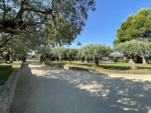 Maisons de vacances Le Mas Romarin : photos des chambres