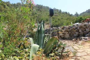 Seaside secluded apartments Cove Dragnjevica - Telascica, Dugi otok - 8140