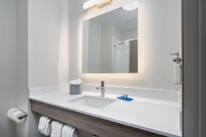 Standard King Room room in Holiday Inn Express Hotel & Suites Dallas West an IHG Hotel