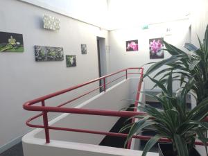 Hotels Au Royal Hotel : photos des chambres