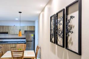 501S Estilo y Confort en Ibagué