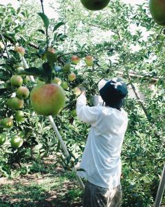 The Bath and Bed Obuse