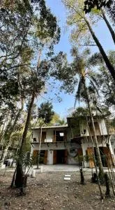 Bosque na Montanha Encantada - Taiaçupeba