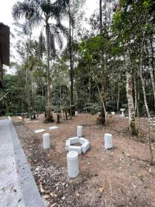 Bosque na Montanha Encantada