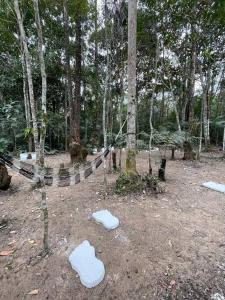 Bosque na Montanha Encantada