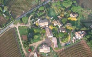 Le platane aux esperifes