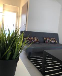 Le loft