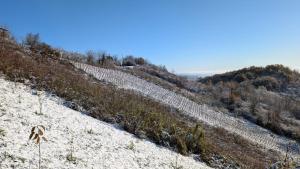 Vlaškovec Experience