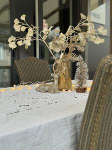 Chalet 3 slaapkamers Oasis 19