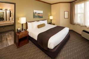 Superior King Suite - Non-Smoking room in Kress Inn Ascend Hotel Collection