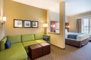 Comfort Suites Burlington near I-5 - ماونت فيرنون