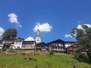 Maisons d'hotes Aux fermes de la Croix, Maison d'hotes, Spa : photos des chambres