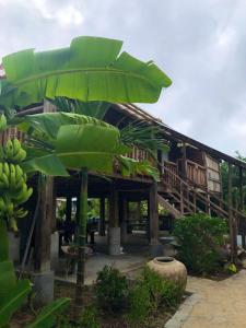 Hoi An Unique Treehouse-Pool-Natural View-Free Bike Trip