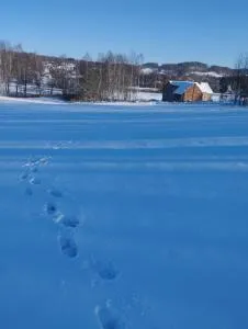 Zimmerův Statek - Mikulášovice