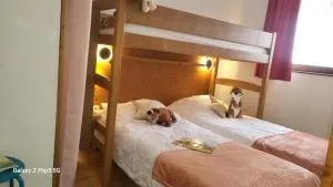 Appartement proche piste et près de l'Ecole de Ski - Les Clavaux