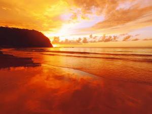 Dolphin Bay Island Resort 海豚岛