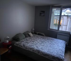 Appartements ParisLouvreSamaritaineCharme : photos des chambres