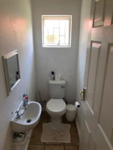 Basic and Simple Hospitality