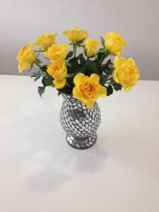 Basic and Simple Hospitality