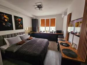 Modern Studio 3 - 奥内什蒂