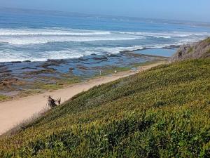 Family beachfront cottage